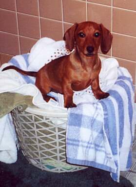 nancy in towel basket
